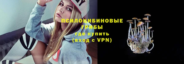 apvp Липки
