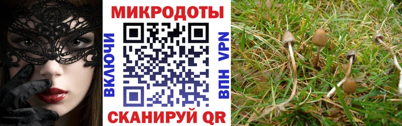 где найти наркотики  Томилино  Галлюциногенные грибы прущие грибы 